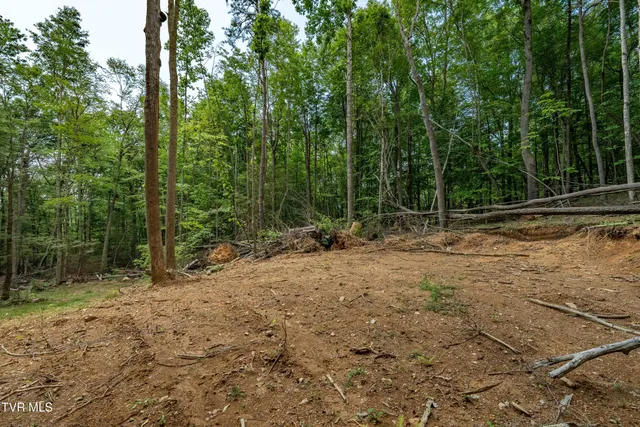 $69,999 | Tbd East Crackers Neck Road, Unit 6, Mountain City, TN 37683