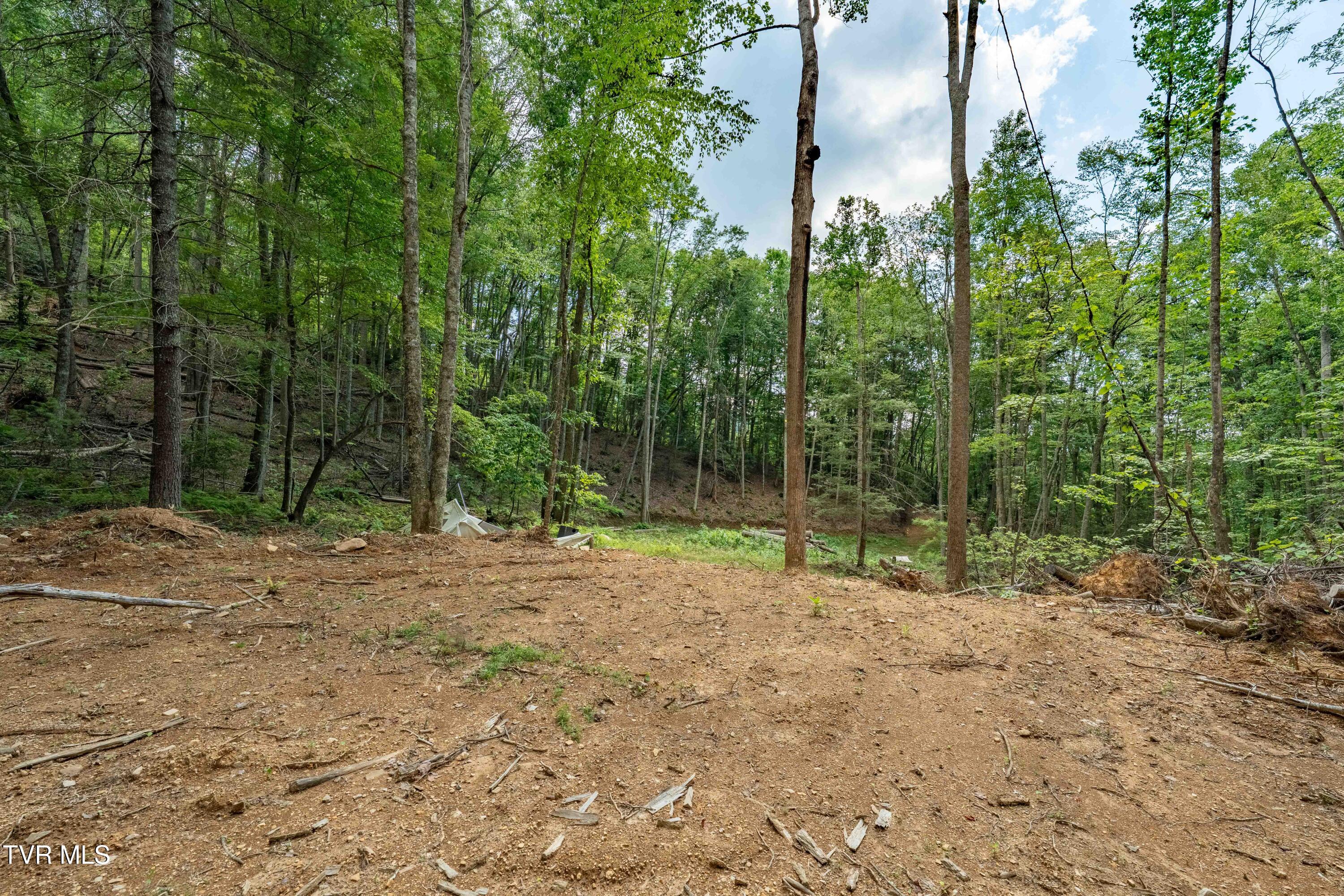 Tbd East Crackers Neck Road, Unit 6 Mountain City, TN 37683 - Photo 33 of 34 TBD Crackers Neck Road (33 of 34)