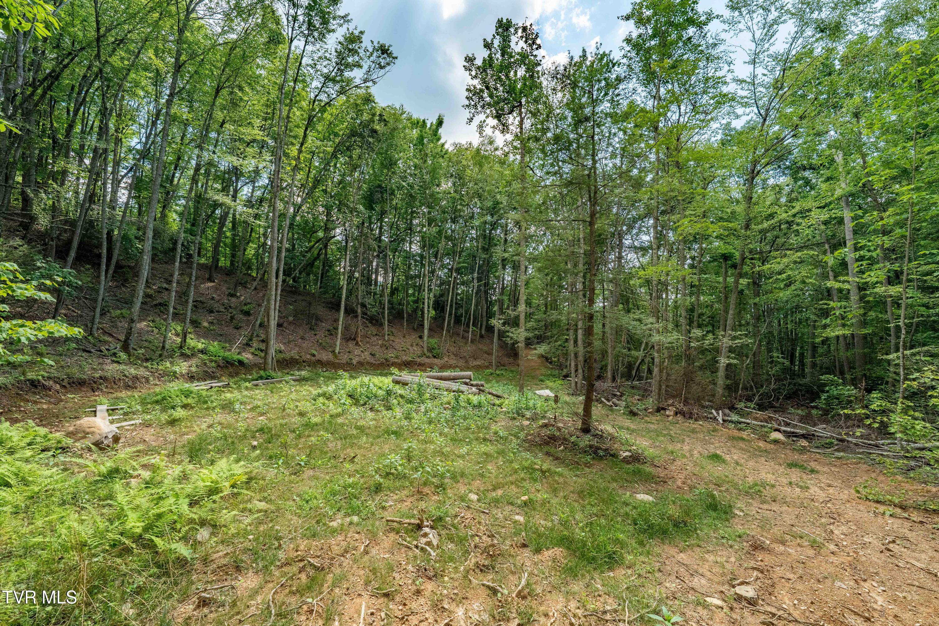 Tbd East Crackers Neck Road, Unit 6 Mountain City, TN 37683 - Photo 34 of 34 TBD Crackers Neck Road (34 of 34)