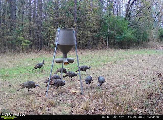 4 Prentiss Crump Road Utica, MS 39175 - Photo 23 of 28 690