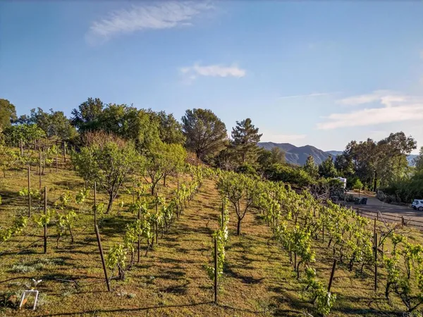 $1,200,000 | 31907 Calle El Potrero, Pauma Valley, CA 92061
