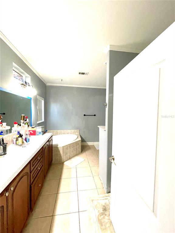 35495 Singletary Road Myakka City, FL 34251 - Photo 13 of 74 a bathroom with a sink mirror and a bathtub