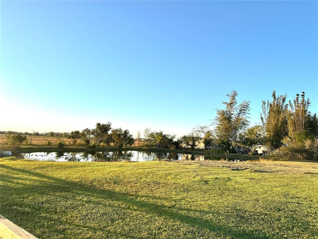 35495 Singletary Road Myakka City, FL 34251 - Photo 45 of 74 a view of outdoor space with green field and trees
