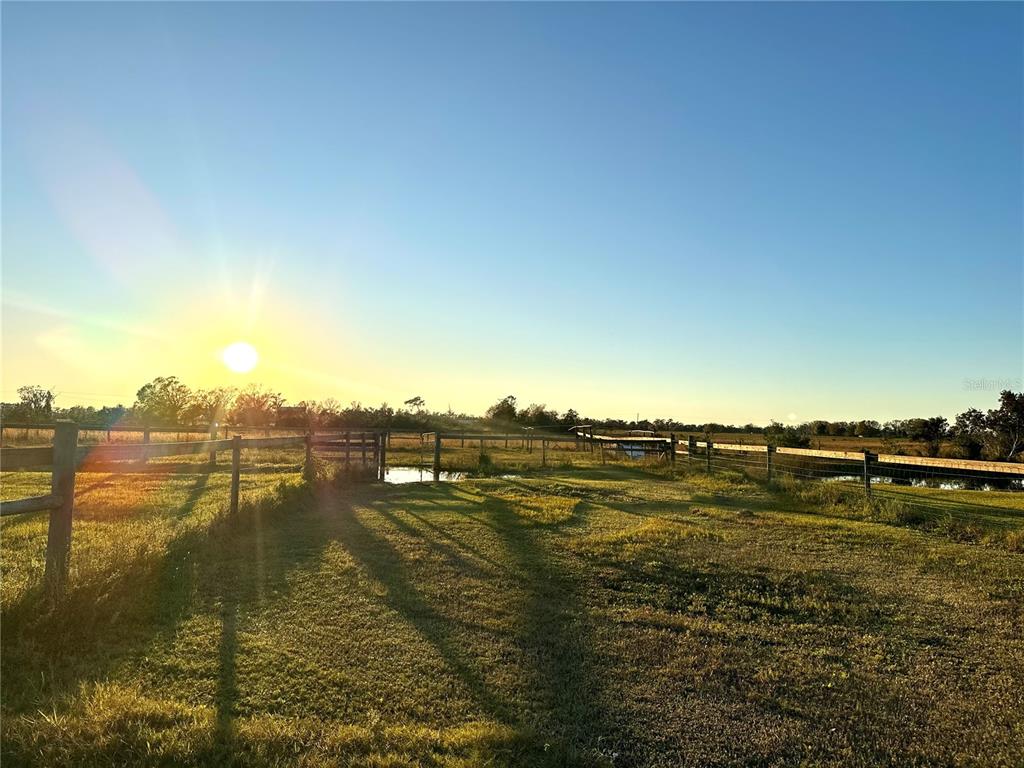 35495 Singletary Road Myakka City, FL 34251 - Photo 50 of 74