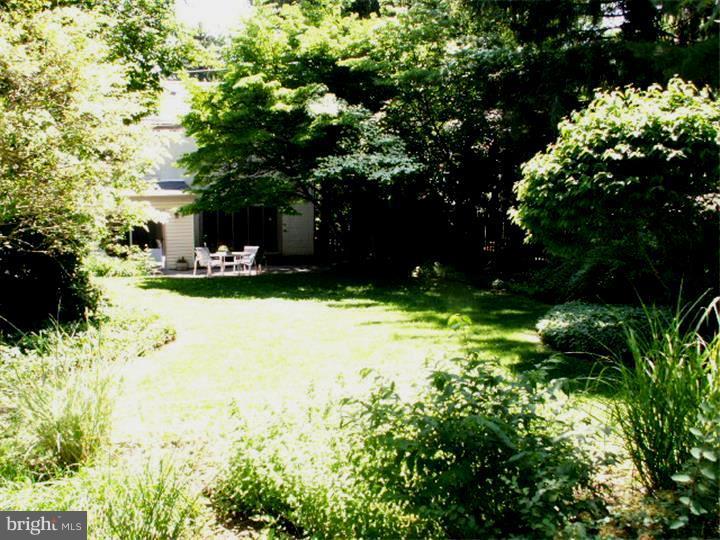 506 Ott Road Bala Cynwyd, PA 19004 - Photo 2 of 24 Back Yard