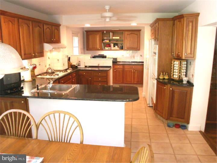506 Ott Road Bala Cynwyd, PA 19004 - Photo 9 of 24 Kitchen
