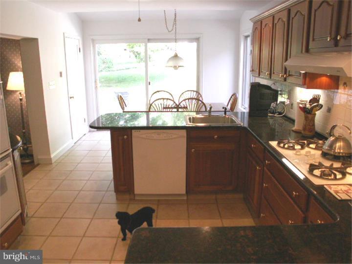 506 Ott Road Bala Cynwyd, PA 19004 - Photo 10 of 24 Kitchen