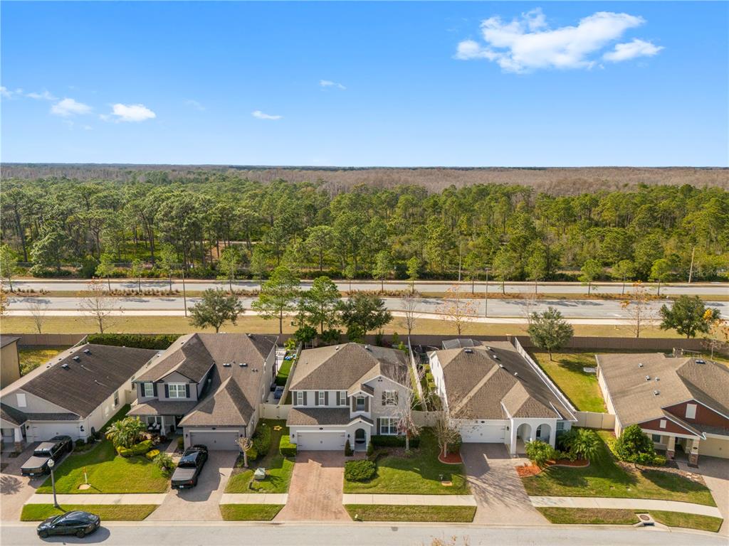 1565 Feather Grass Loop Lutz, FL 33558 - Photo 51 of 62