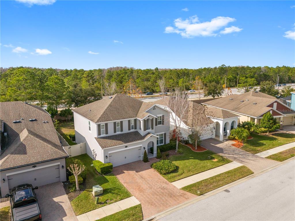 1565 Feather Grass Loop Lutz, FL 33558 - Photo 52 of 62