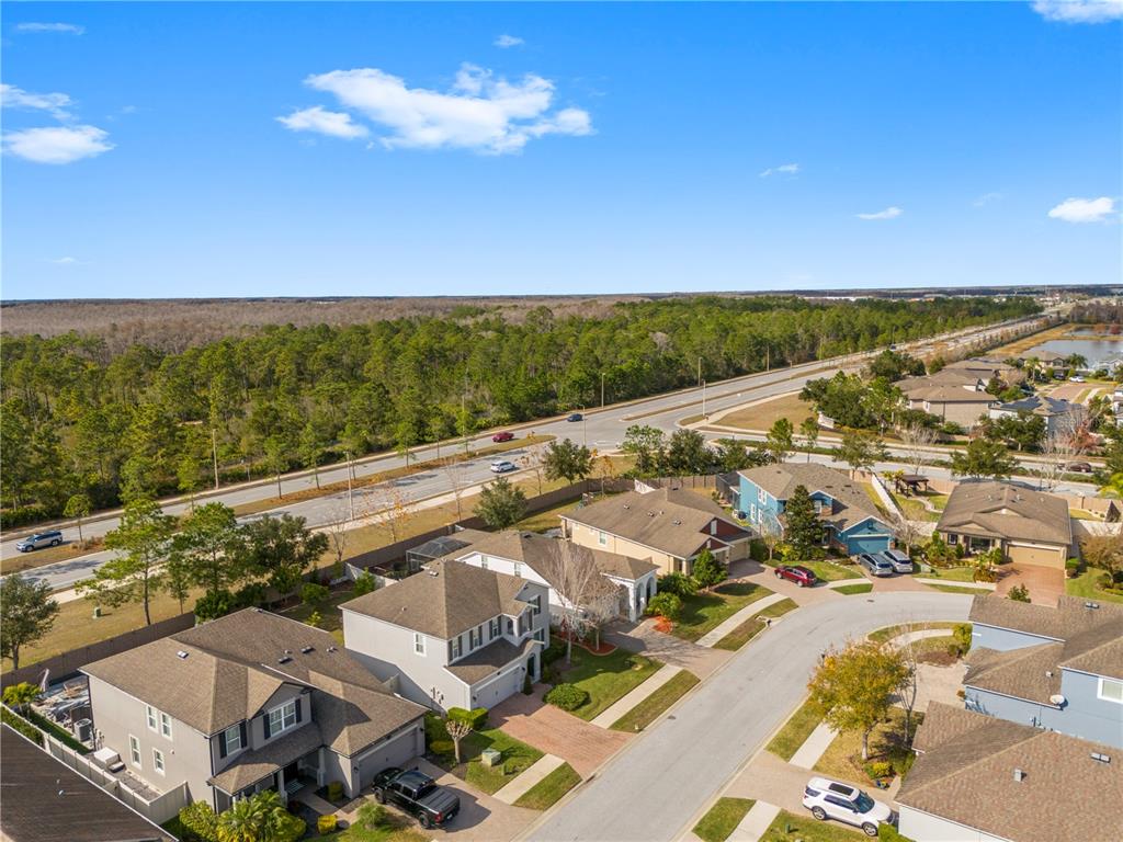 1565 Feather Grass Loop Lutz, FL 33558 - Photo 53 of 62