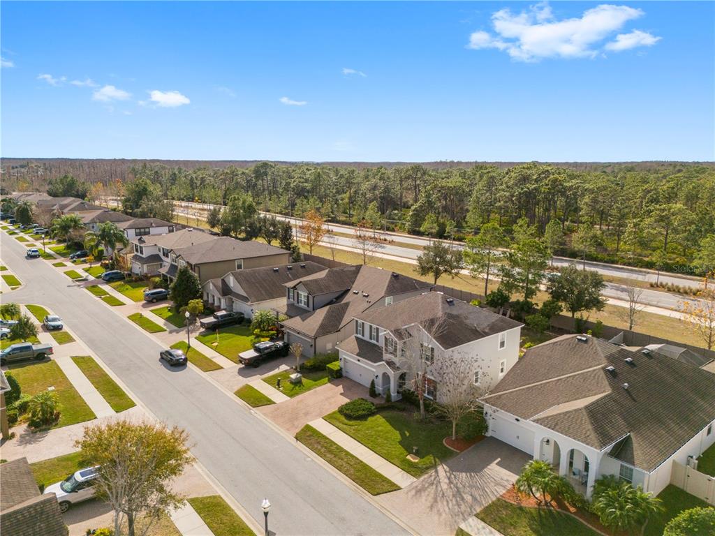 1565 Feather Grass Loop Lutz, FL 33558 - Photo 54 of 62