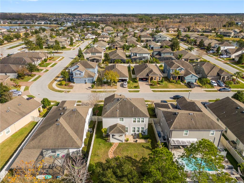 1565 Feather Grass Loop Lutz, FL 33558 - Photo 57 of 62