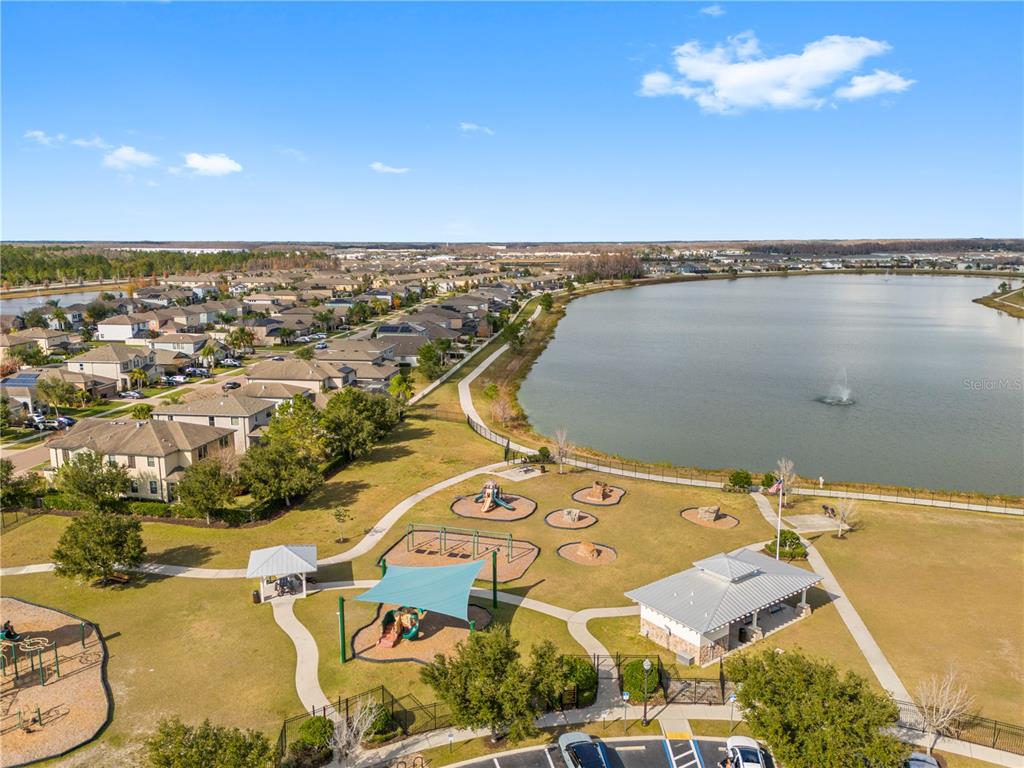 1565 Feather Grass Loop Lutz, FL 33558 - Photo 59 of 62