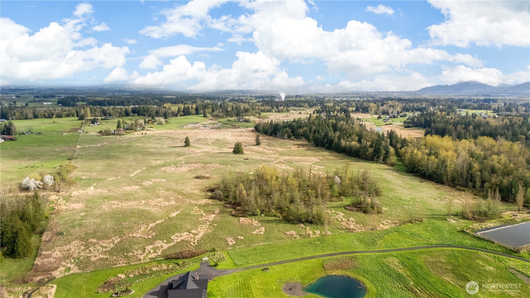 1817 Central Road Everson, WA 98247 - Photo 8 of 19 Gallery Image 8