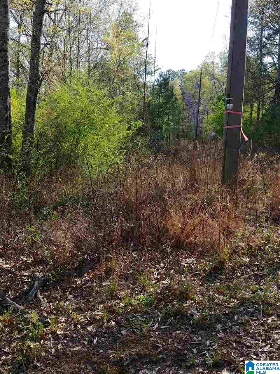 0 Roberts Mill Pond Road, Unit 1 39 Pell City, AL 35128 - Photo 28 of 29