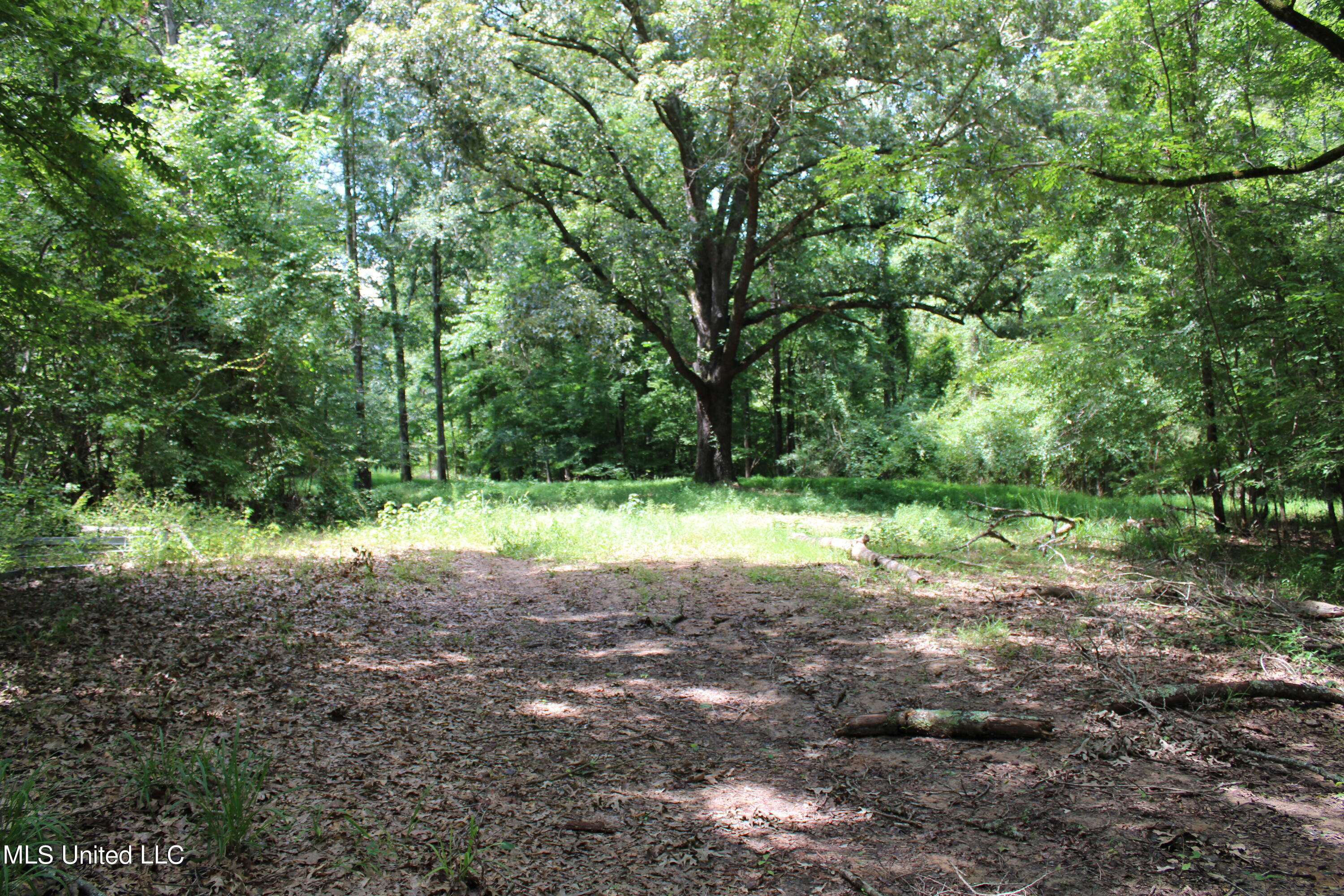 4003 Perry Creek Road Yazoo City, MS 39194 - Photo 1 of 12 Land