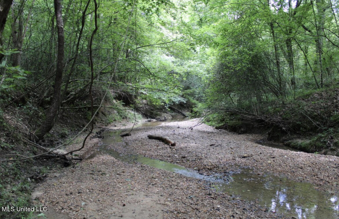 4003 Perry Creek Road Yazoo City, MS 39194 - Photo 11 of 12 IMG_F322F62D1580-1