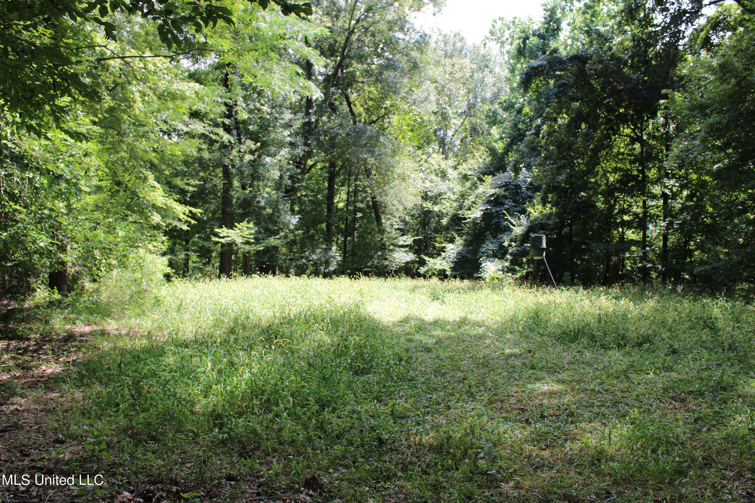 4003 Perry Creek Road Yazoo City, MS 39194 - Photo 4 of 12 IMG_0321