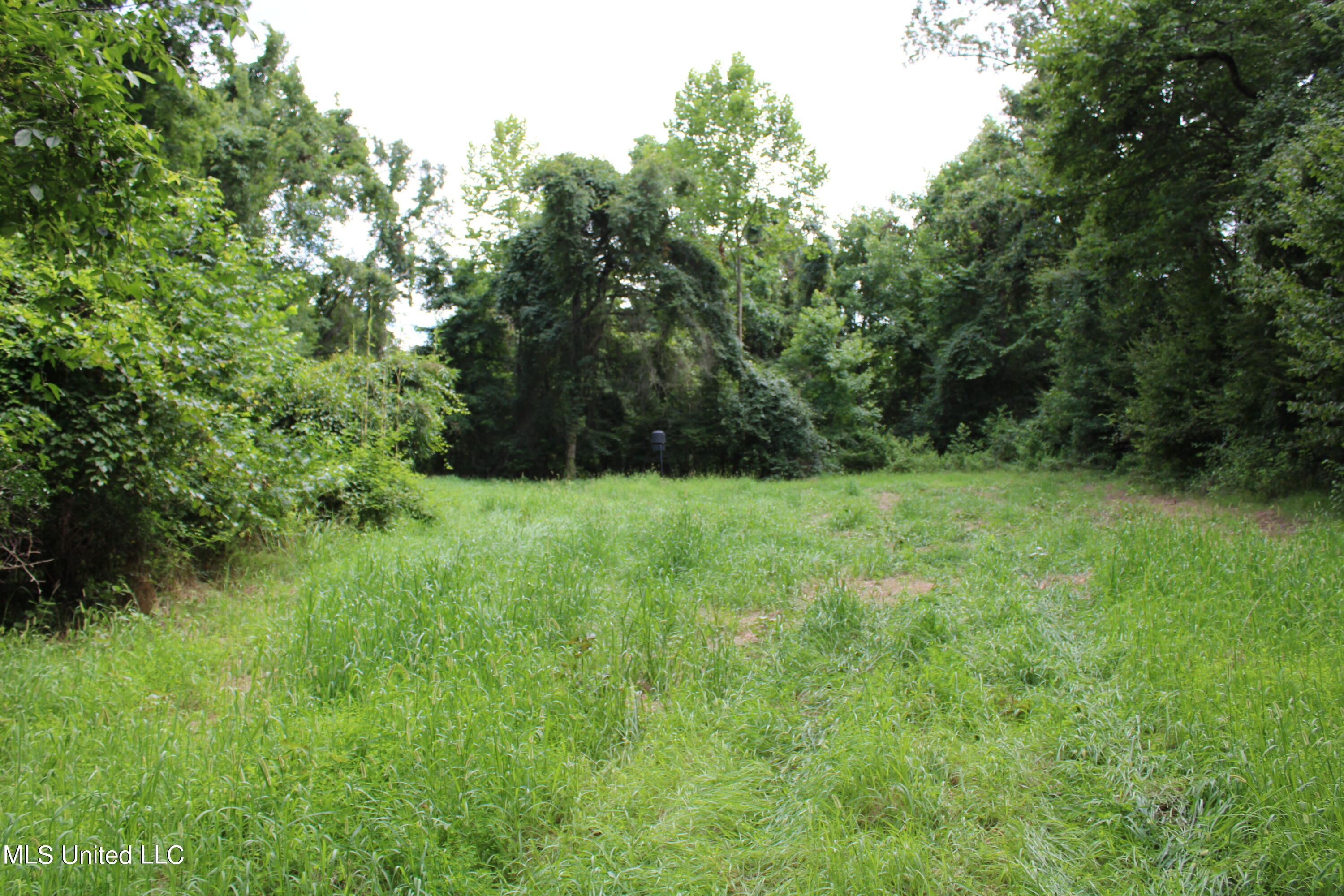 4003 Perry Creek Road Yazoo City, MS 39194 - Photo 5 of 12 IMG_0324