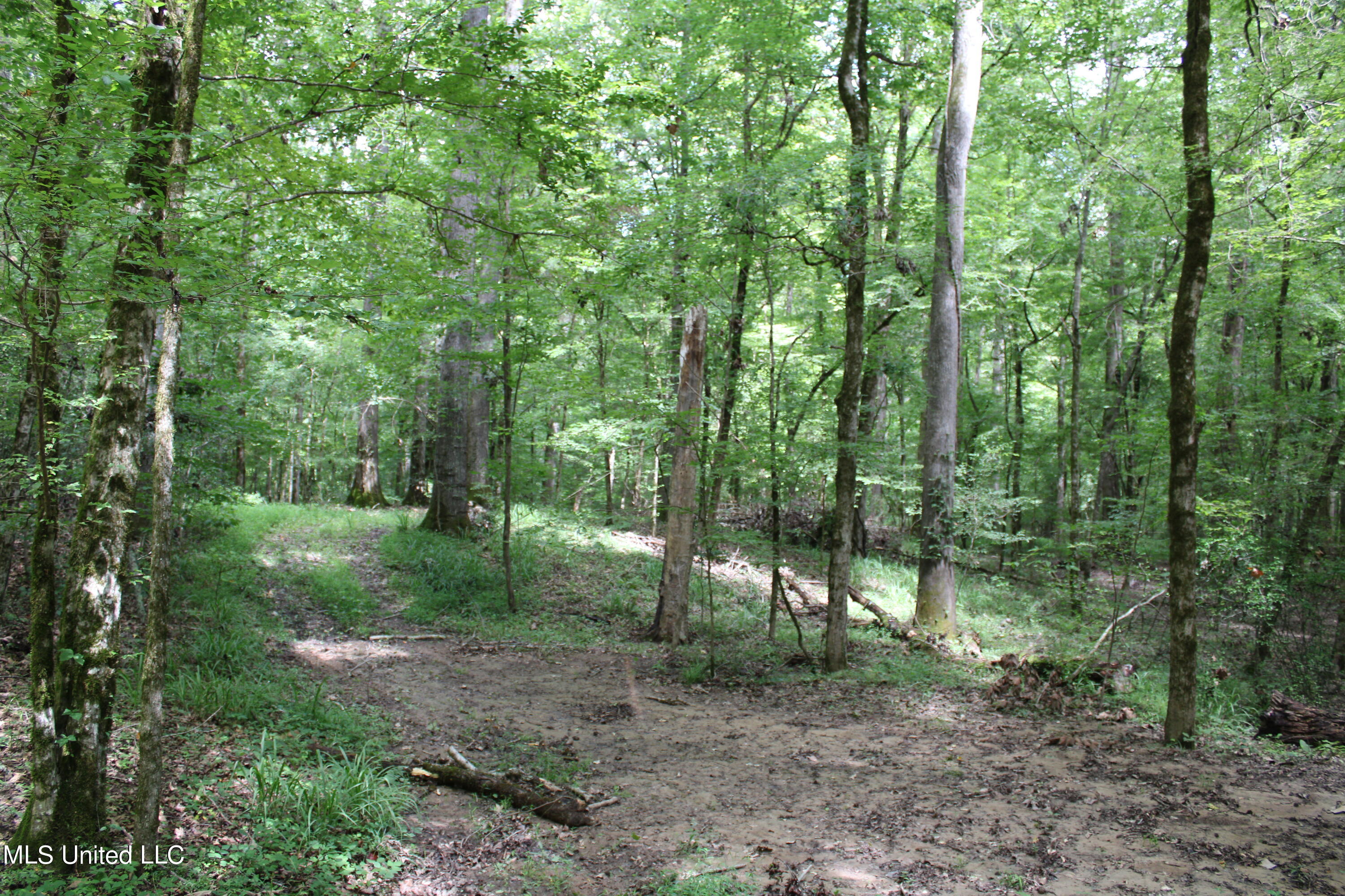 4003 Perry Creek Road Yazoo City, MS 39194 - Photo 7 of 12 IMG_0328