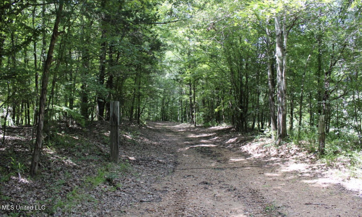 4003 Perry Creek Road Yazoo City, MS 39194 - Photo 8 of 12 IMG_9D2E39382989-1