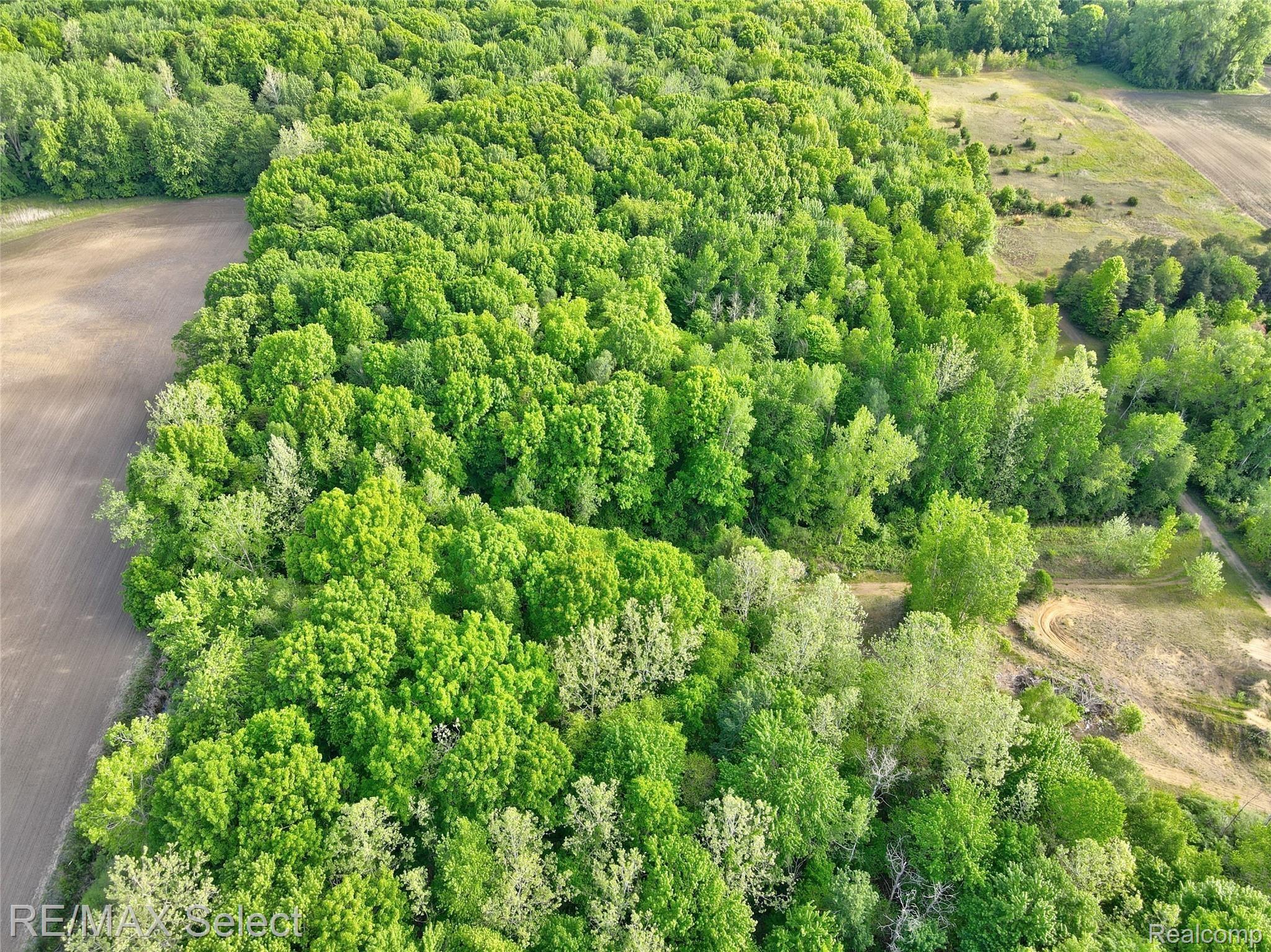 2483 Curtis Road Birch Run, MI 48415 - Photo 8 of 55 2483 E Curtis Road 17.jpg