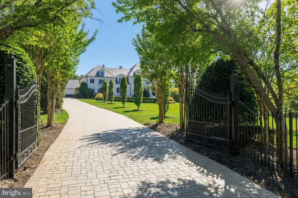 a view of a park with large trees