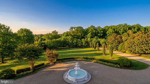 a view of a park with large trees