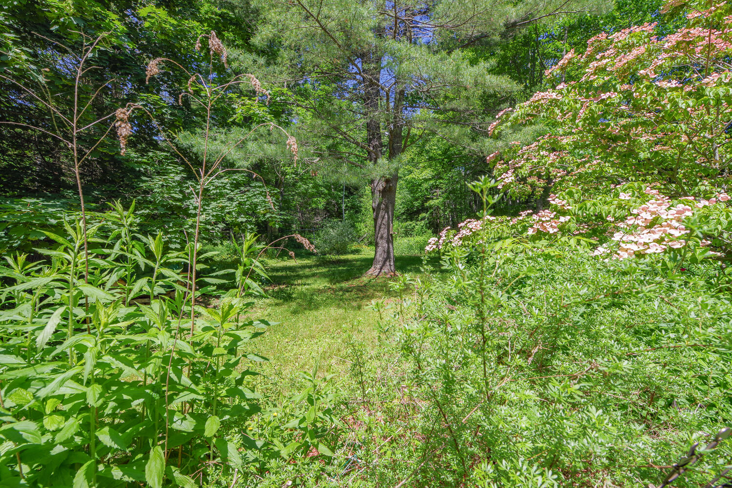 592 Belfast Road Camden, ME 04843 - Photo 45 of 48