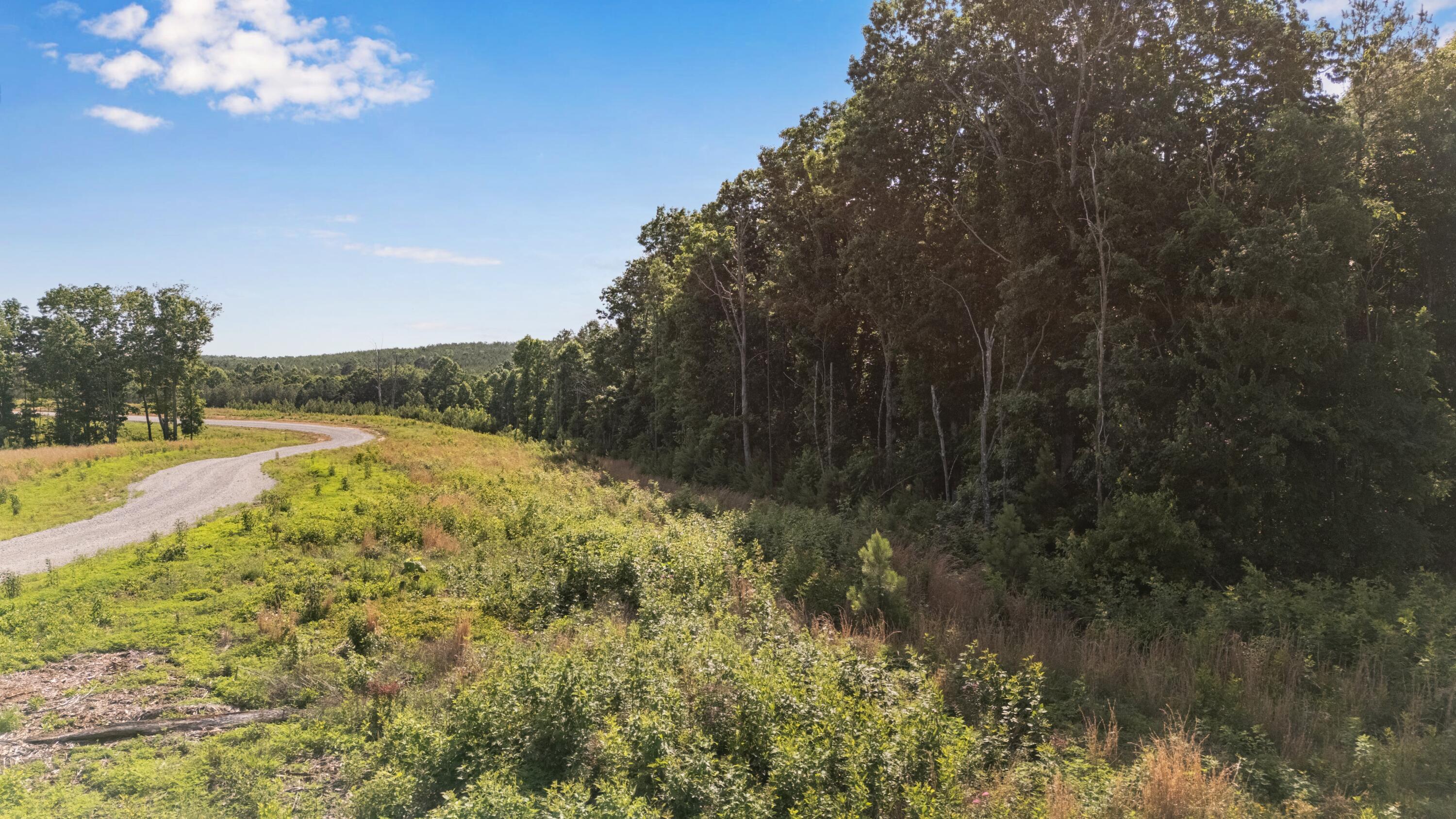 0 Saddleback Road, Unit 48 Dunlap, TN 37327 - Photo 7 of 21 DJI_20260602172627_0263_D-HDR