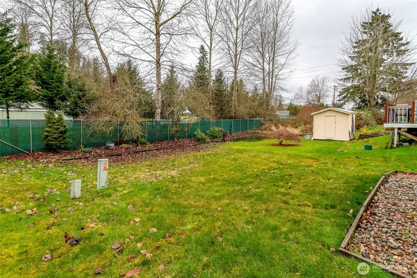 a view of a backyard with plants and trees