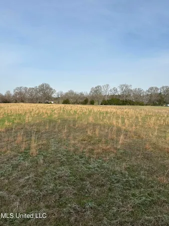 $109,000 | Ms-469, Pearl, MS 39208