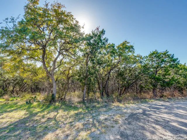 $55,000 | 223 Lakeview Circle, Spring Branch, TX 78070