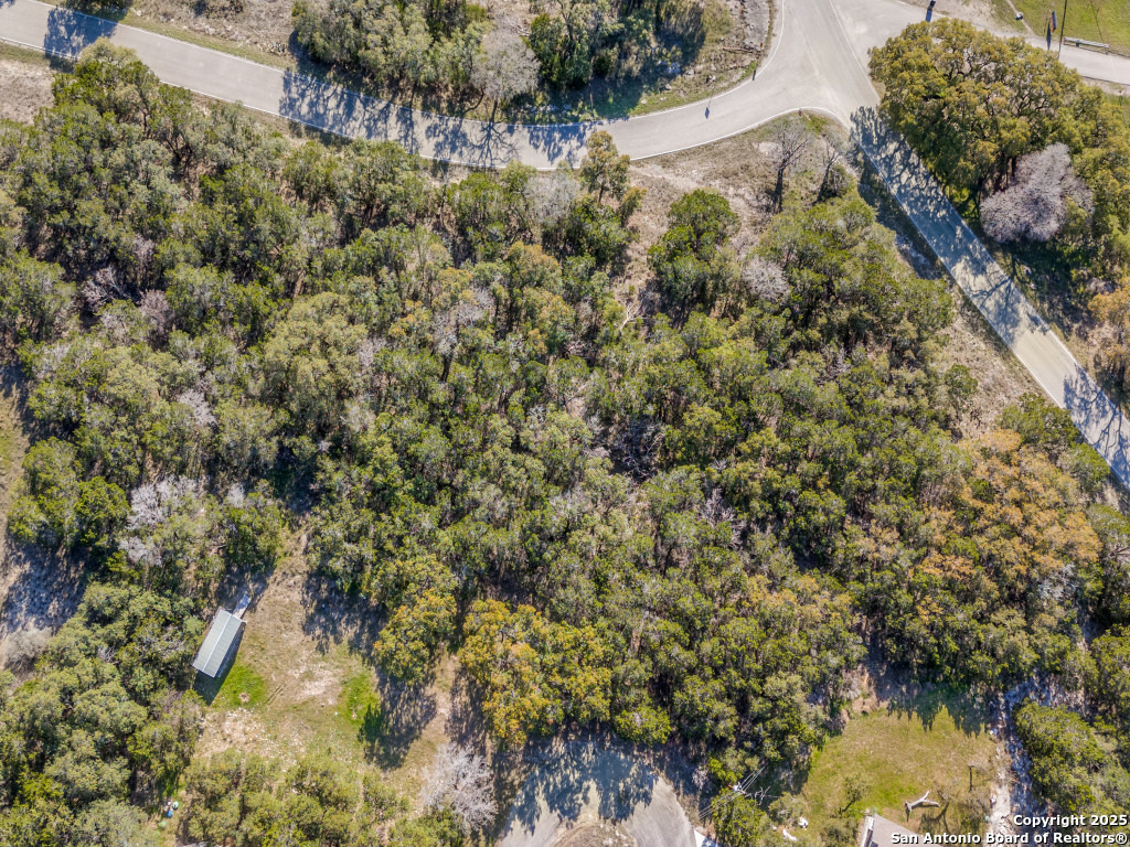 223 Lakeview Circle Spring Branch, TX 78070 - Photo 4 of 13