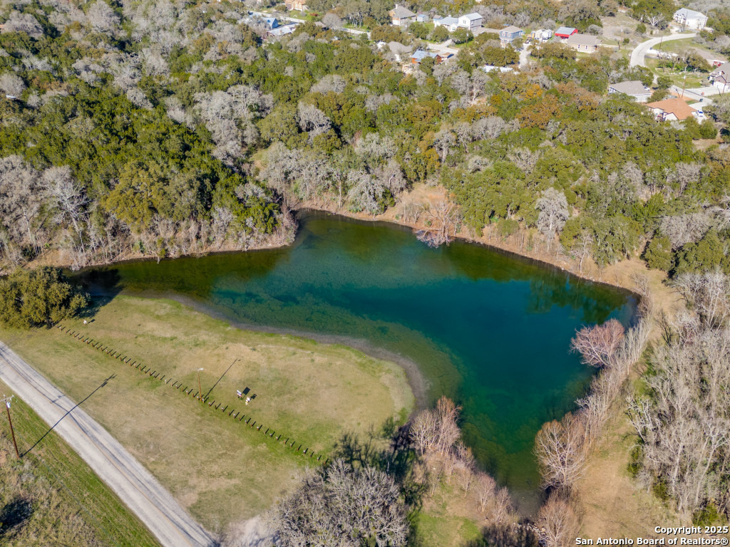 223 Lakeview Circle Spring Branch, TX 78070 - Photo 6 of 13