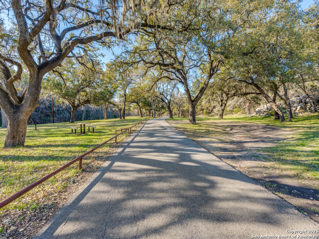223 Lakeview Circle Spring Branch, TX 78070 - Photo 7 of 13