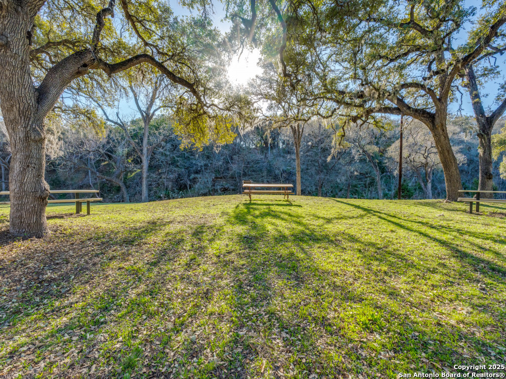 223 Lakeview Circle Spring Branch, TX 78070 - Photo 8 of 13