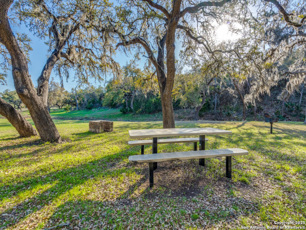 223 Lakeview Circle Spring Branch, TX 78070 - Photo 9 of 13