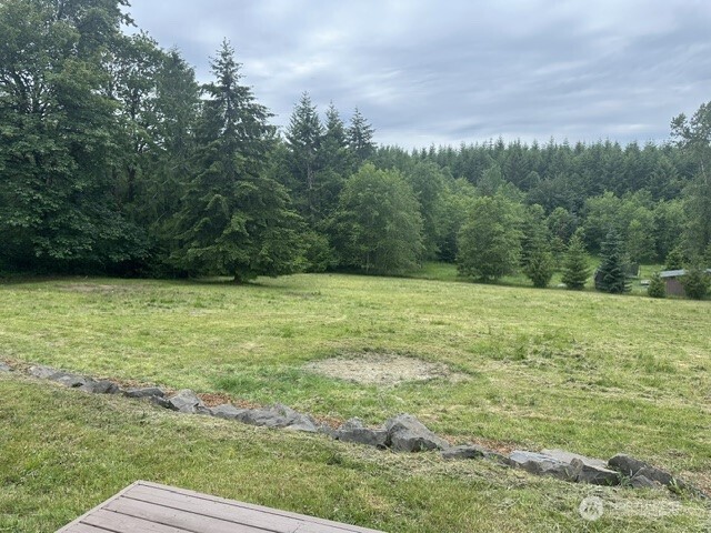 257 Easy Street Road Silverlake, WA 98645 - Photo 6 of 29