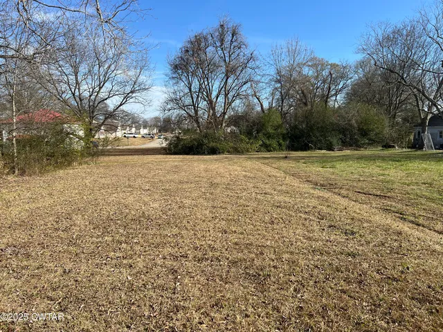 a view of a field with trees