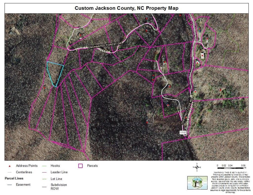 a black and white photo of a park