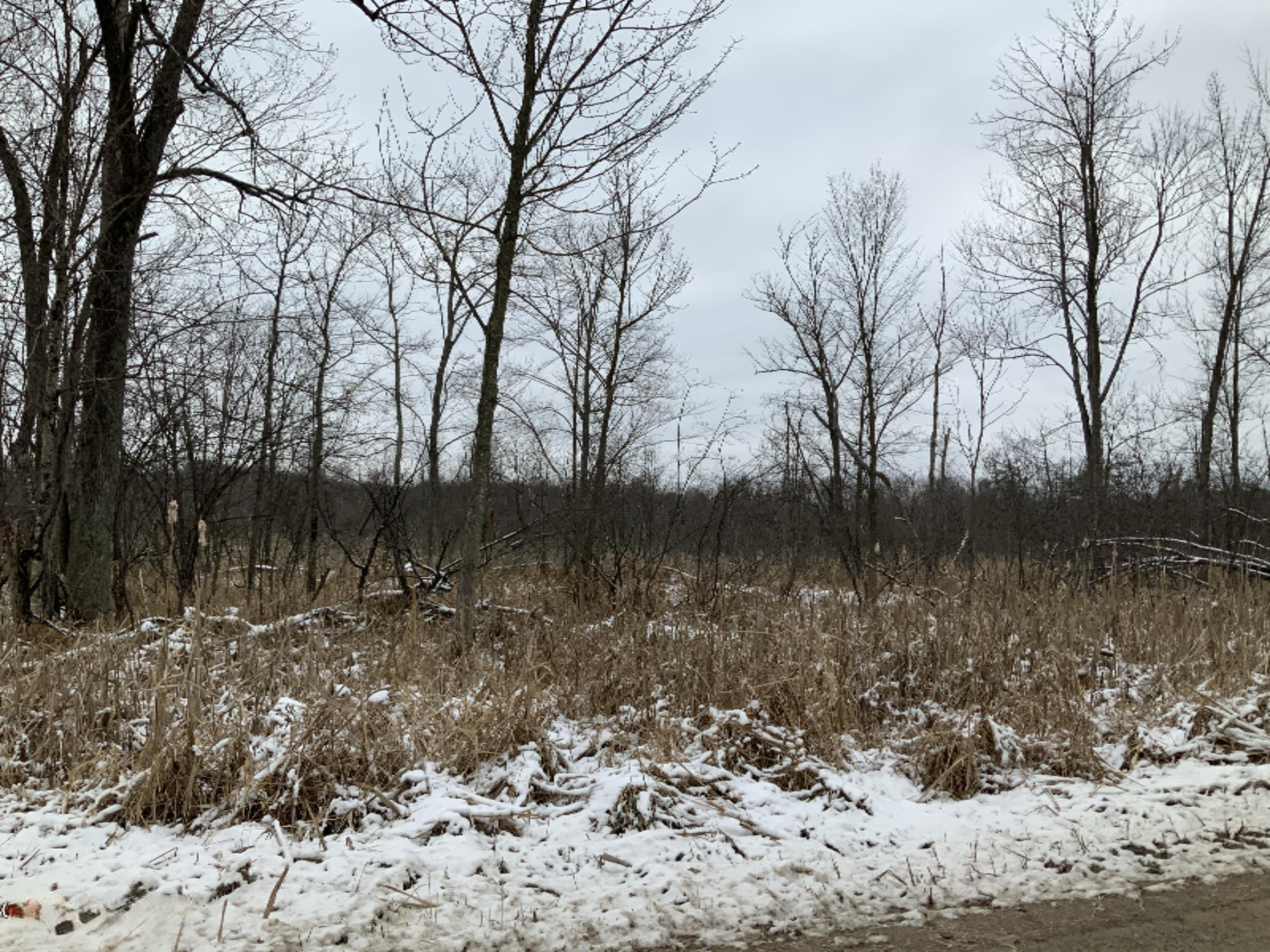 2085 North Canada Road Bailey, MI 49303 - Photo 11 of 30 180A736F-BE42-4447-8C45-670B7D08743A