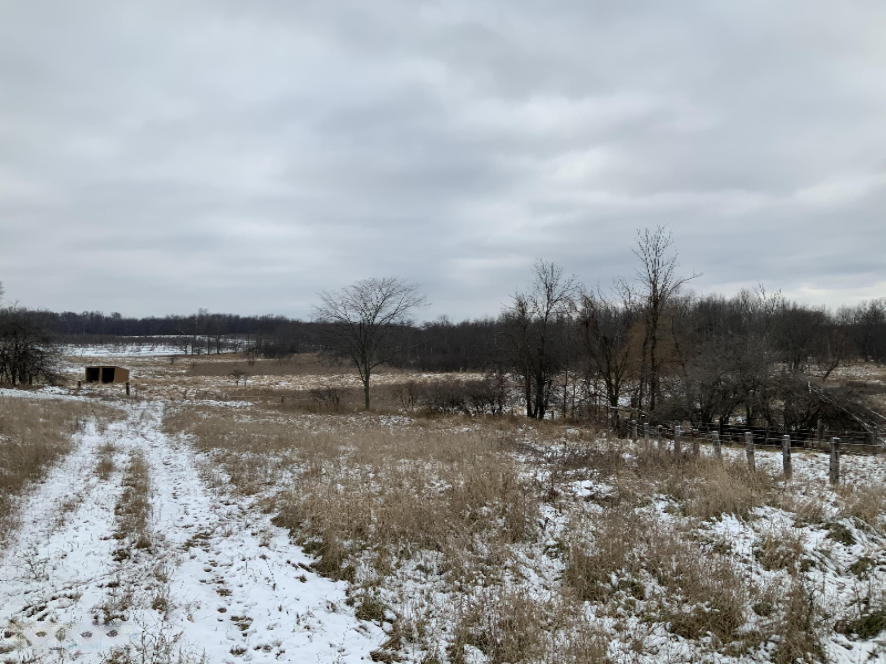 2085 North Canada Road Bailey, MI 49303 - Photo 13 of 30 C8E7C736-540C-4C8B-9489-1A5C13C06B29