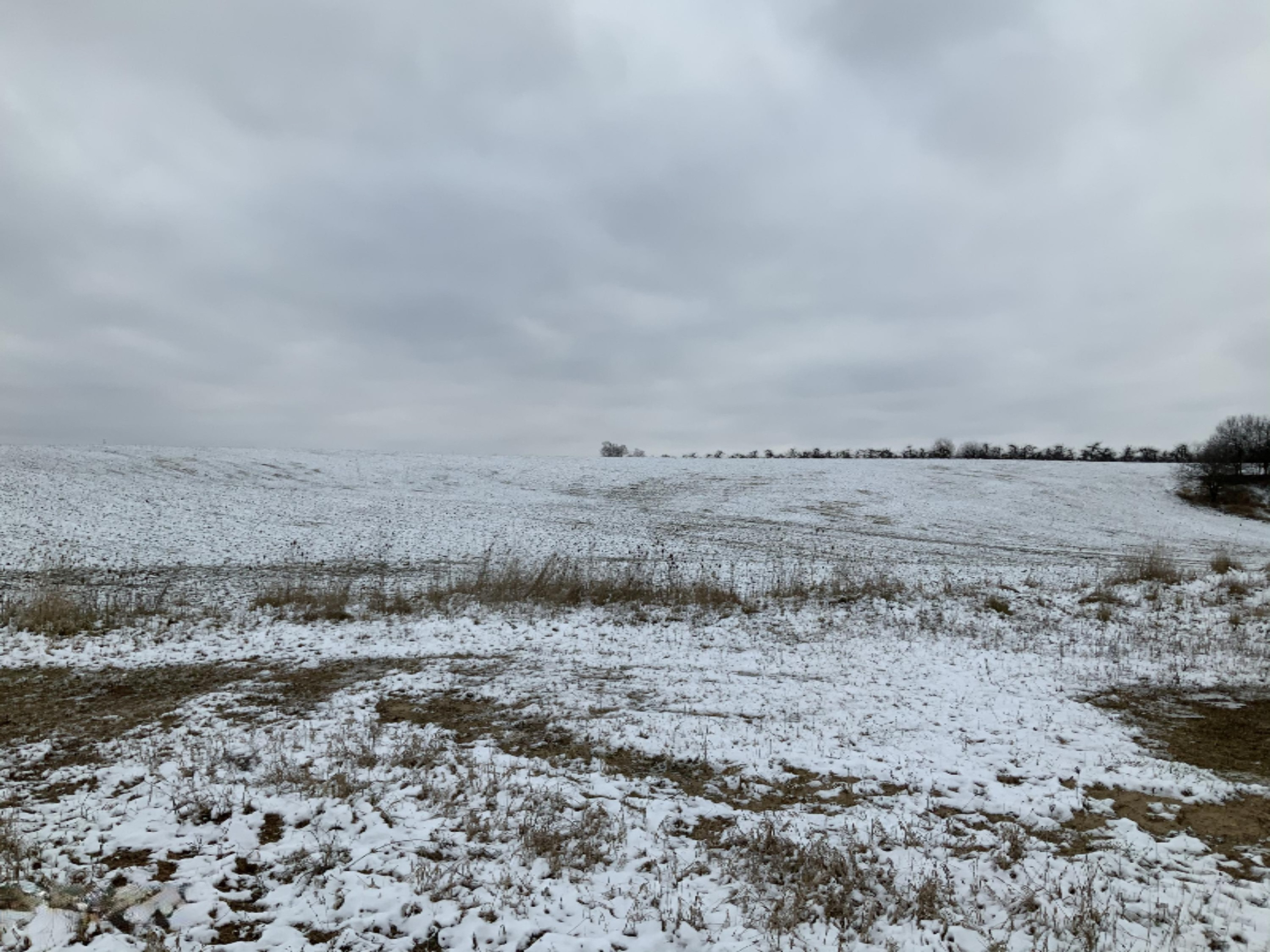 2085 North Canada Road Bailey, MI 49303 - Photo 15 of 30 1FABE09A-5269-4857-8FFD-59E7C08D3245