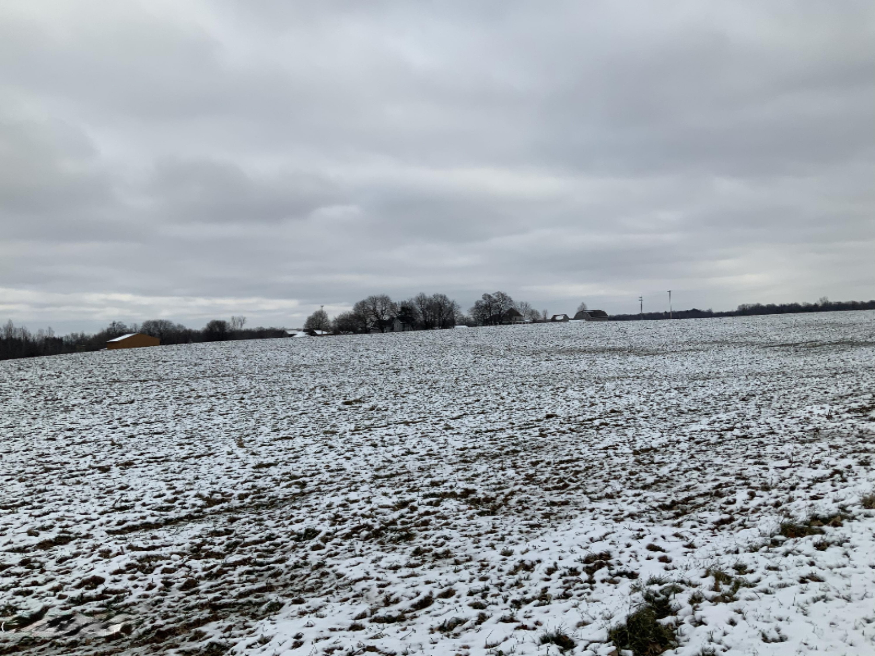 2085 North Canada Road Bailey, MI 49303 - Photo 19 of 30 F3F4C33A-F7FA-4719-86EB-8C1D0BA230B7