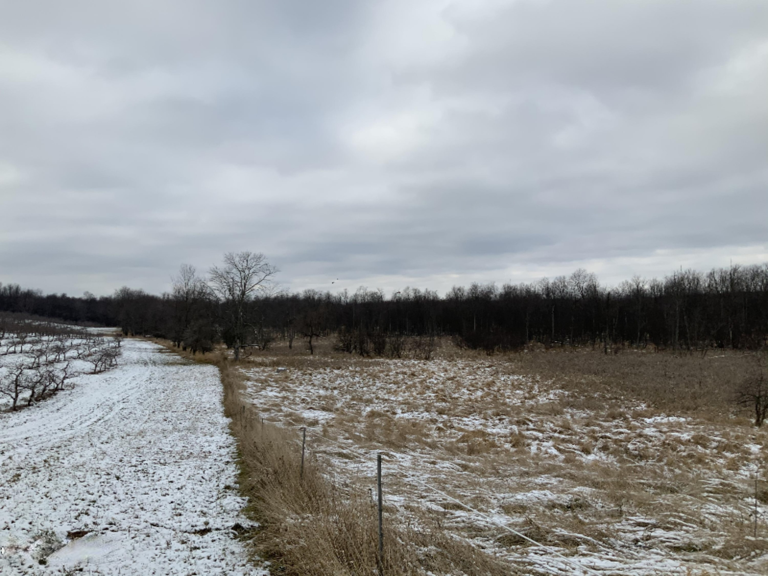 2085 North Canada Road Bailey, MI 49303 - Photo 20 of 30 ACA30619-427A-4F06-A168-22FB72BAE329