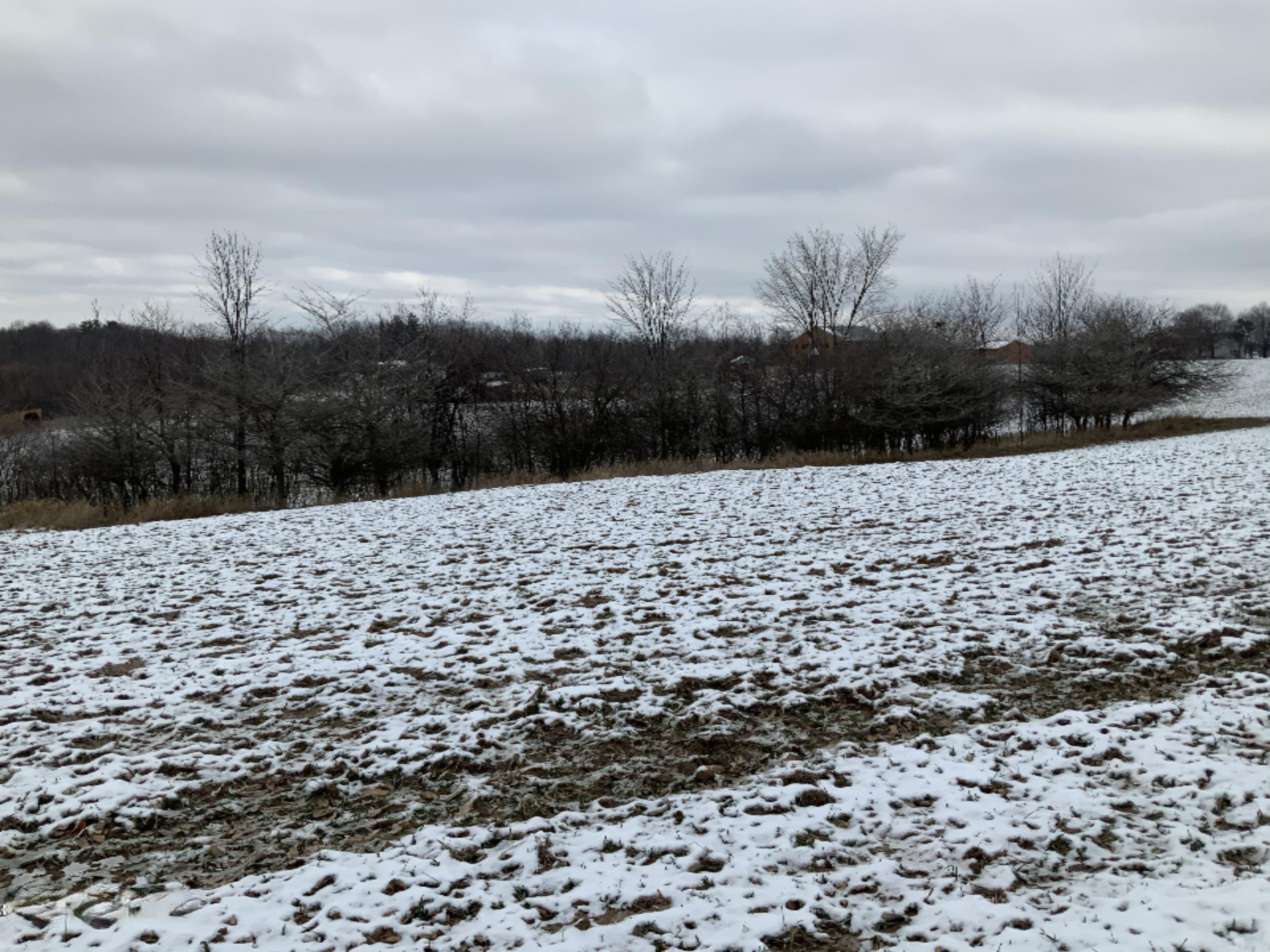 2085 North Canada Road Bailey, MI 49303 - Photo 21 of 30 E600D691-B5E8-4A8B-B5EE-D10271DC9320