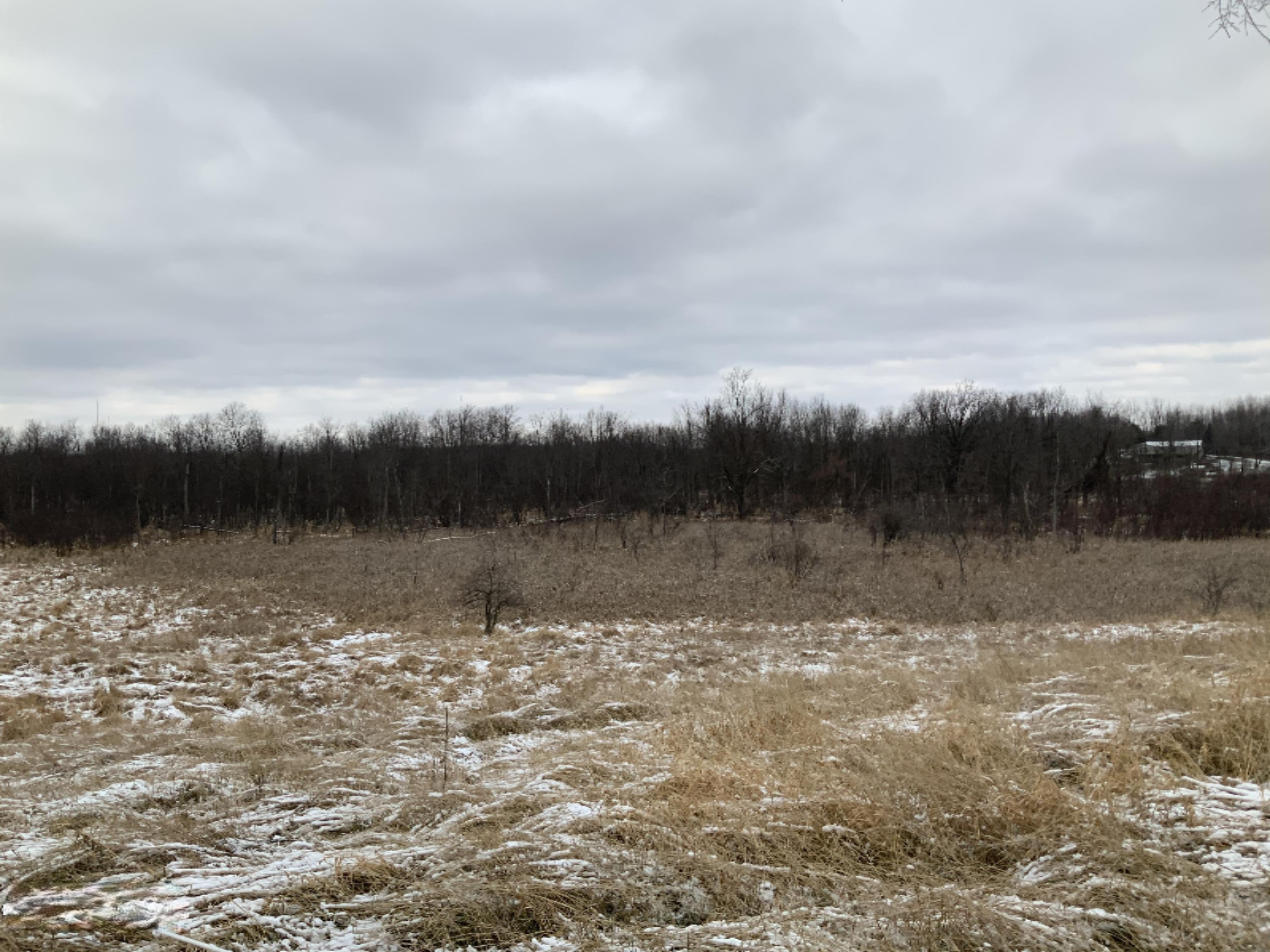 2085 North Canada Road Bailey, MI 49303 - Photo 22 of 30 CA0EB4E4-4894-4E40-A023-7B712F199A95