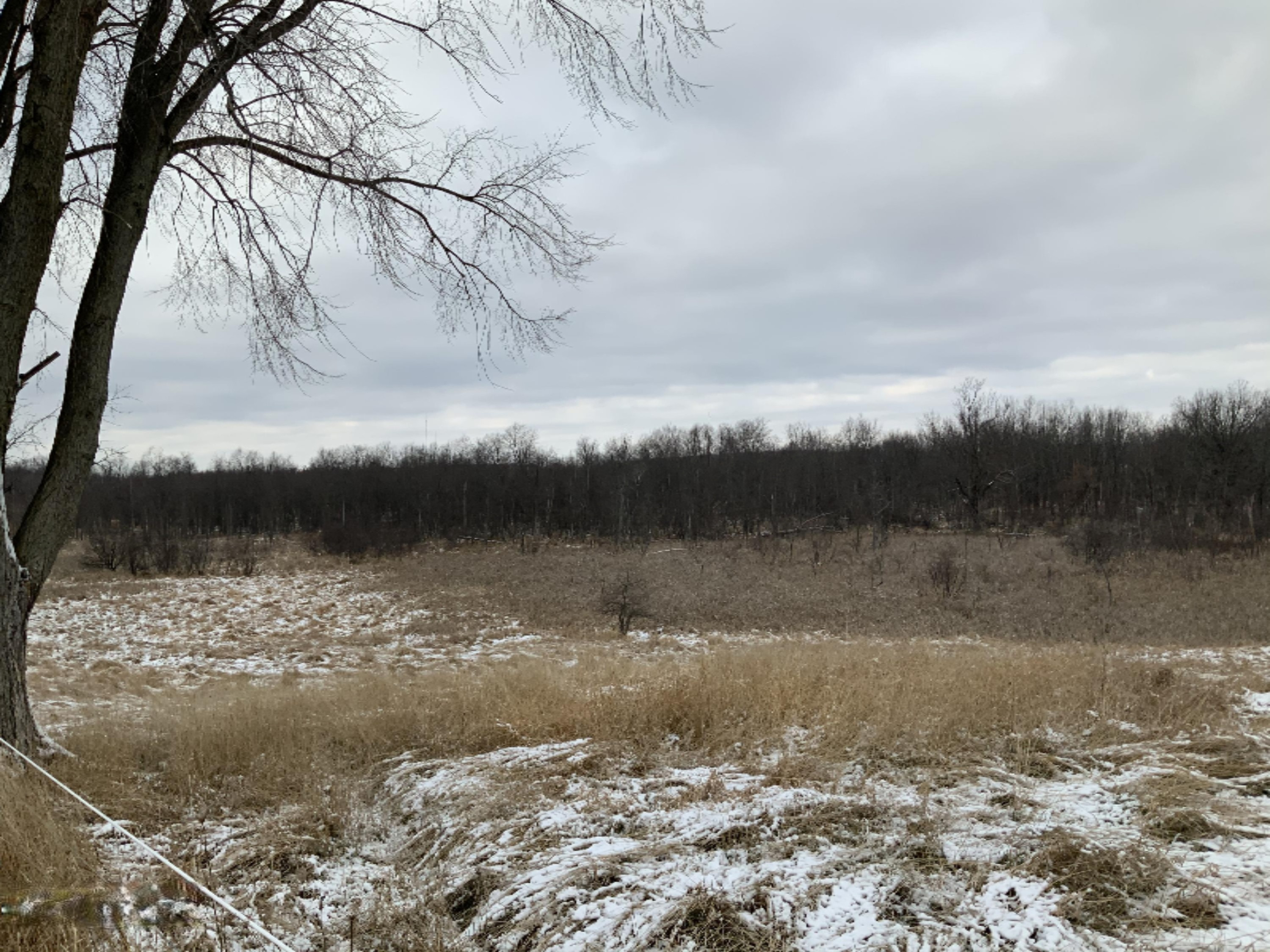 2085 North Canada Road Bailey, MI 49303 - Photo 23 of 30 DE80704C-F1FA-4F99-8FBF-1BE49D434878