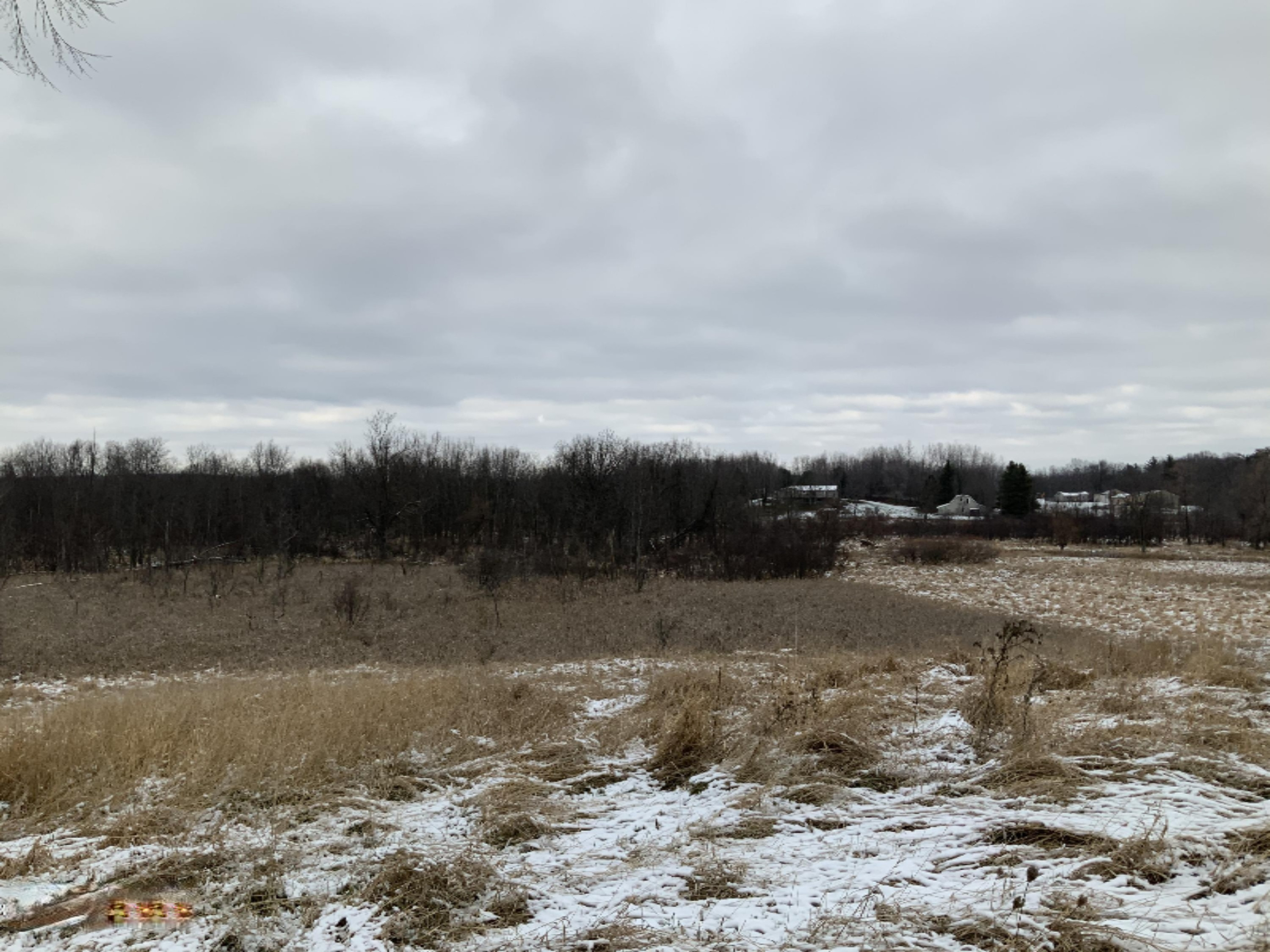 2085 North Canada Road Bailey, MI 49303 - Photo 24 of 30 44610591-DEC2-4FF7-8151-F38E2B5726E7